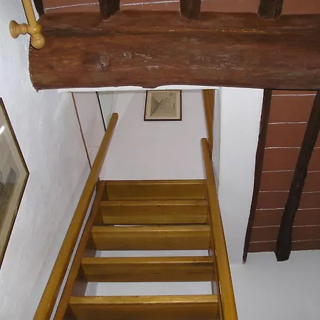 Semesterbostad Ester Procchio Mare E Sole