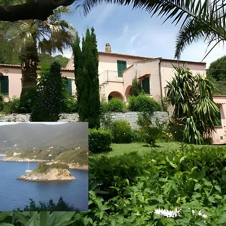 Ester Procchio Mare E Sole 马尔恰纳