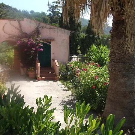 Ester Procchio Mare E Sole مارشيانا